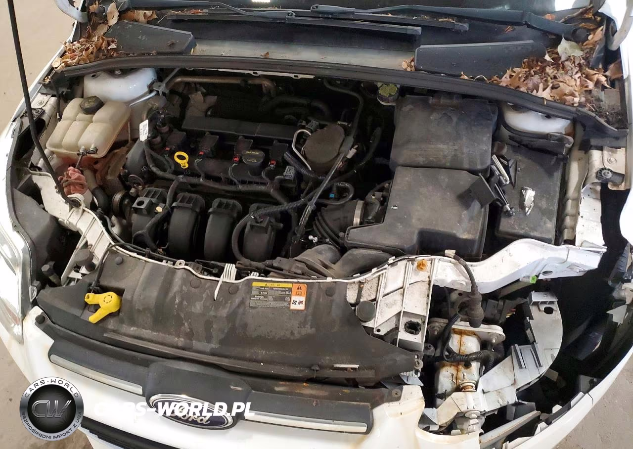 2014 Ford Focus Se VIN:1FADP3F20EL156364 - 11