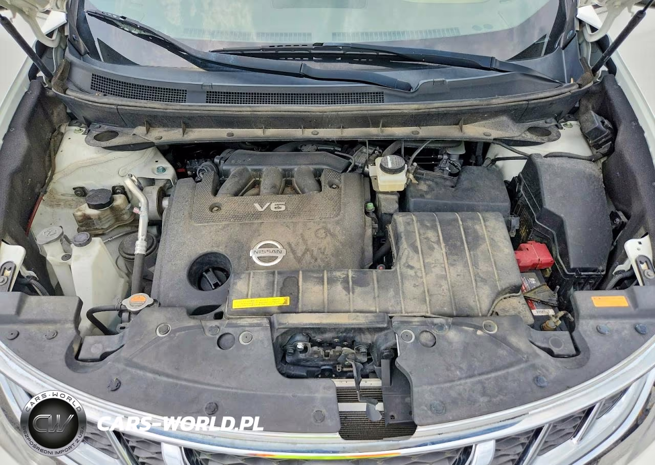 2014 Nissan Murano Le VIN:JN8AZ1MW9EW503999 - 11
