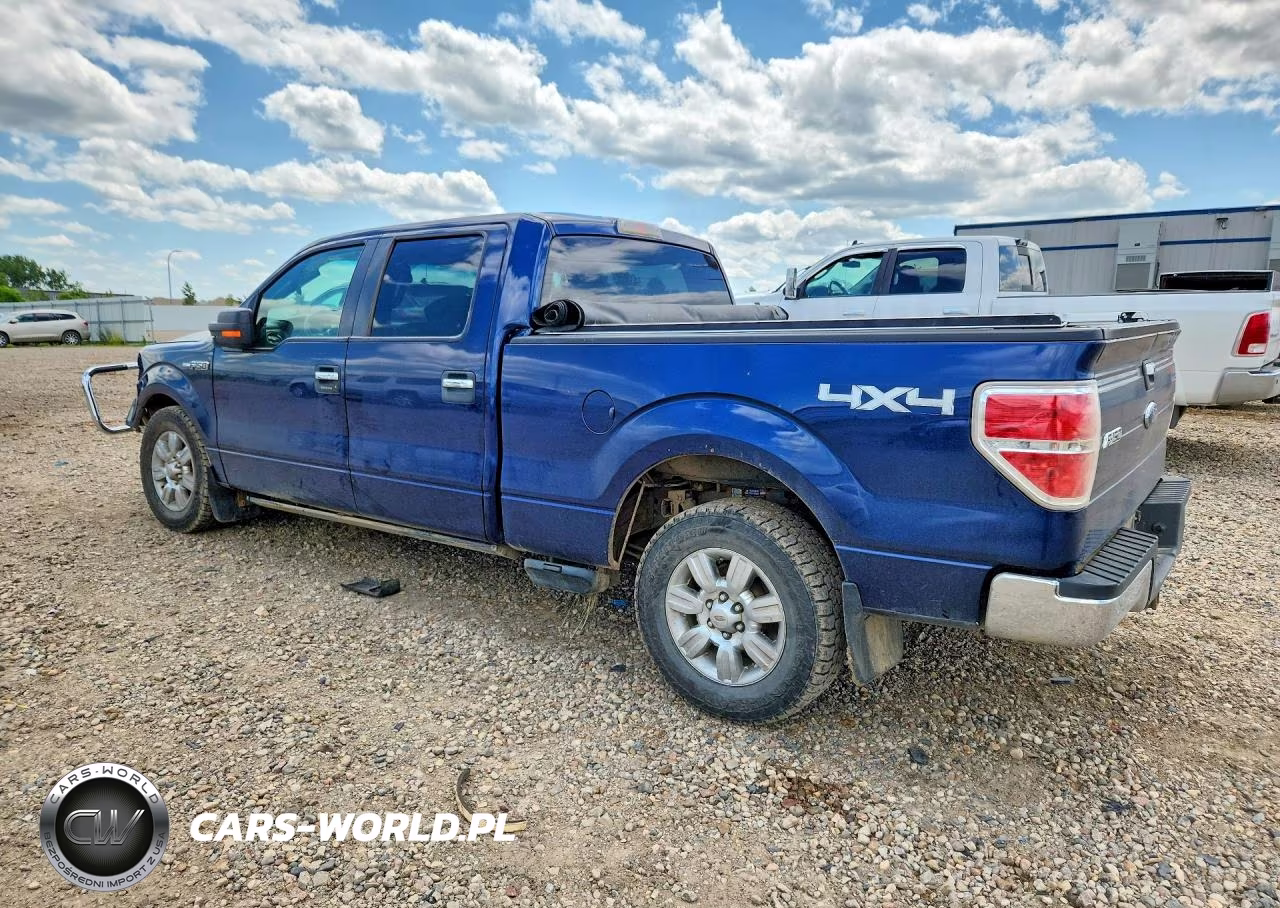 2009 Ford F150 Supercrew VIN:1FTPW14V59FB30410 - 2
