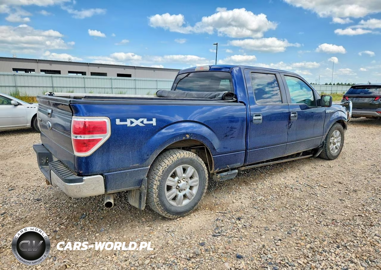 2009 Ford F150 Supercrew VIN:1FTPW14V59FB30410 - 3