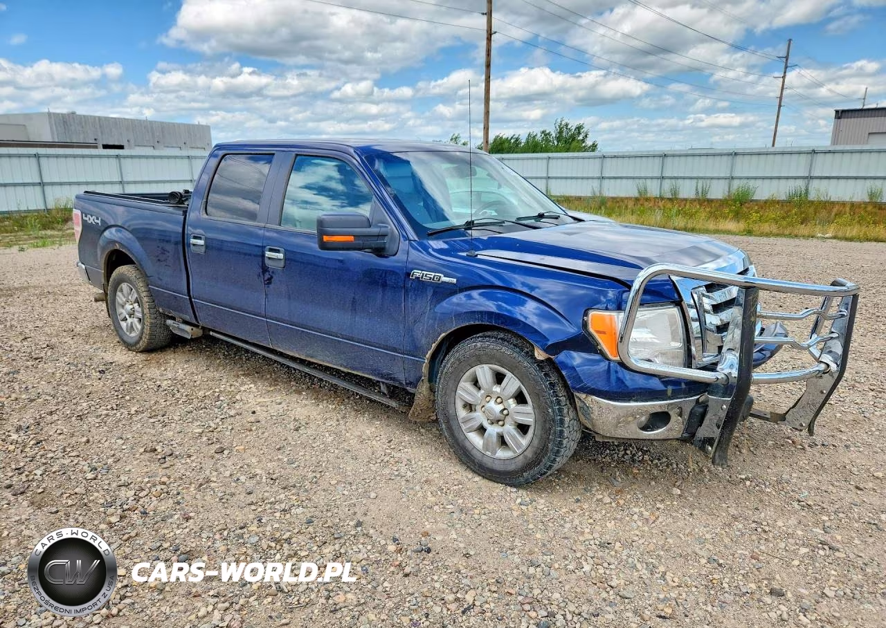 2009 Ford F150 Supercrew VIN:1FTPW14V59FB30410 - 4