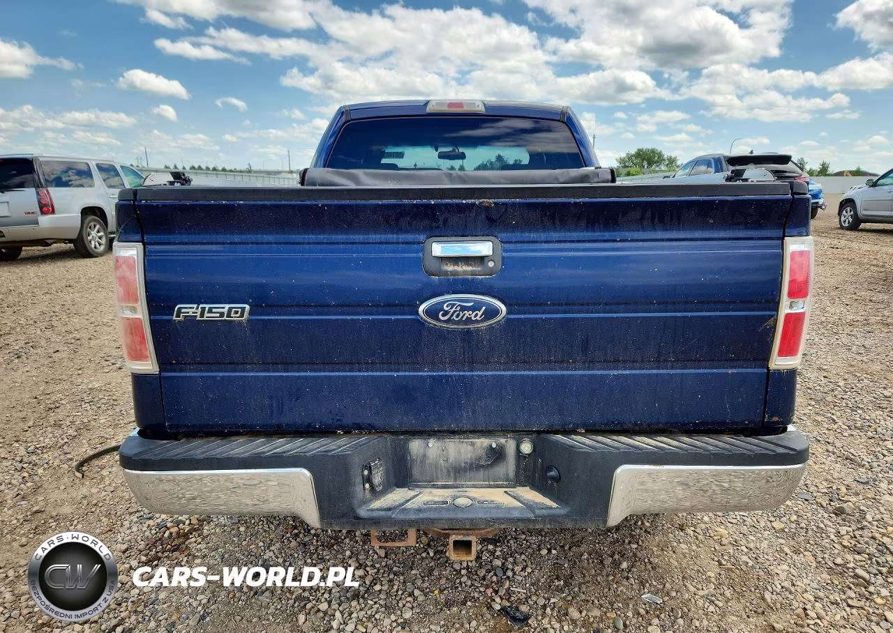 2009 Ford F150 Supercrew VIN:1FTPW14V59FB30410 - 6