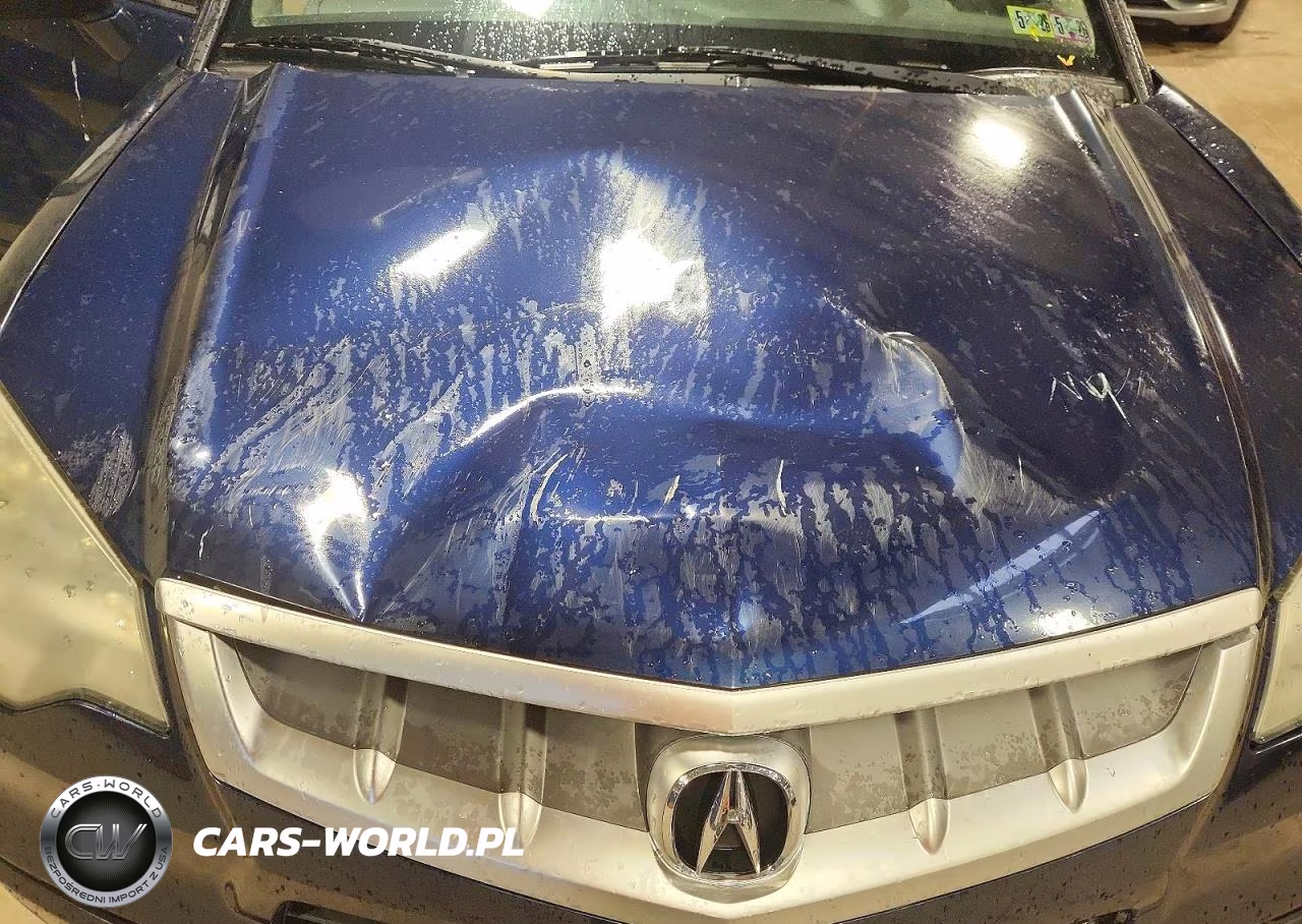 2008 Acura Rdx VIN:5J8TB18248A016664 - 12