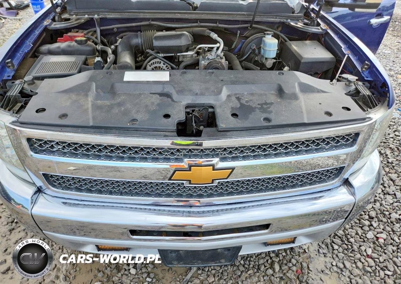 2013 Chevrolet Silverado C1500 VIN:1GCRCPEX1DZ156031 - 11