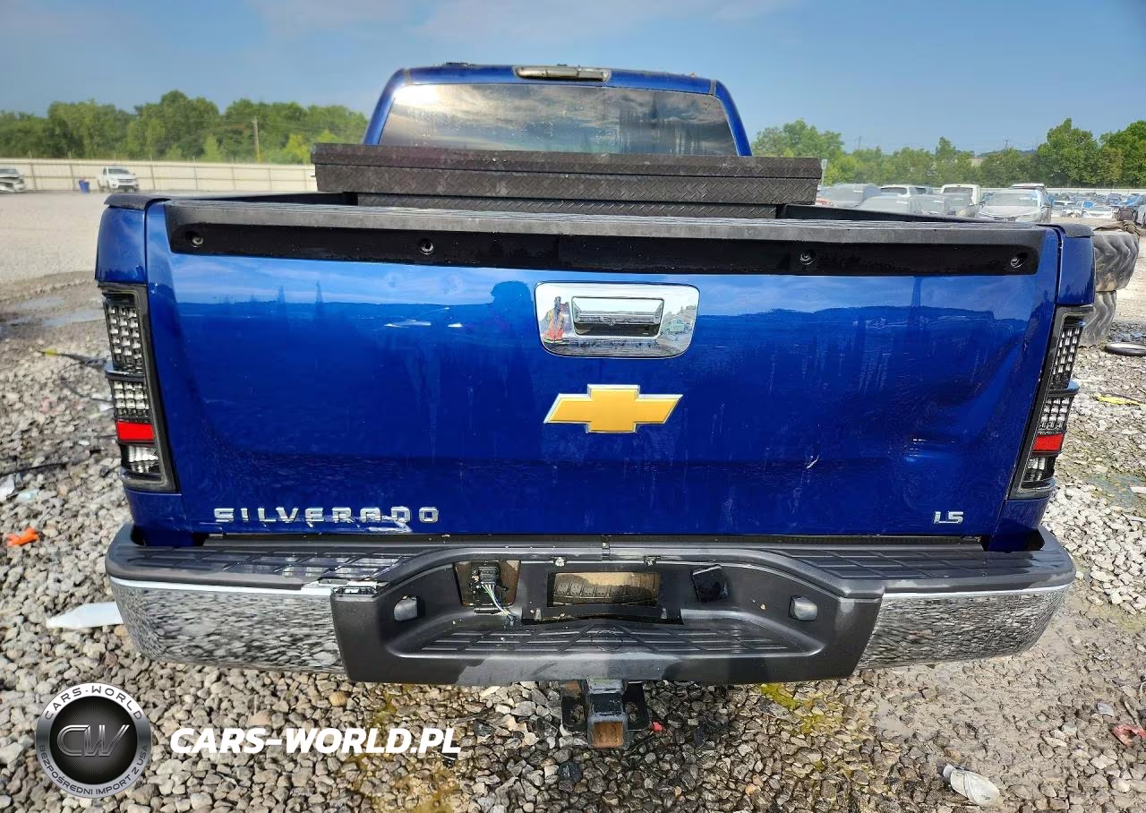 2013 Chevrolet Silverado C1500 VIN:1GCRCPEX1DZ156031 - 6