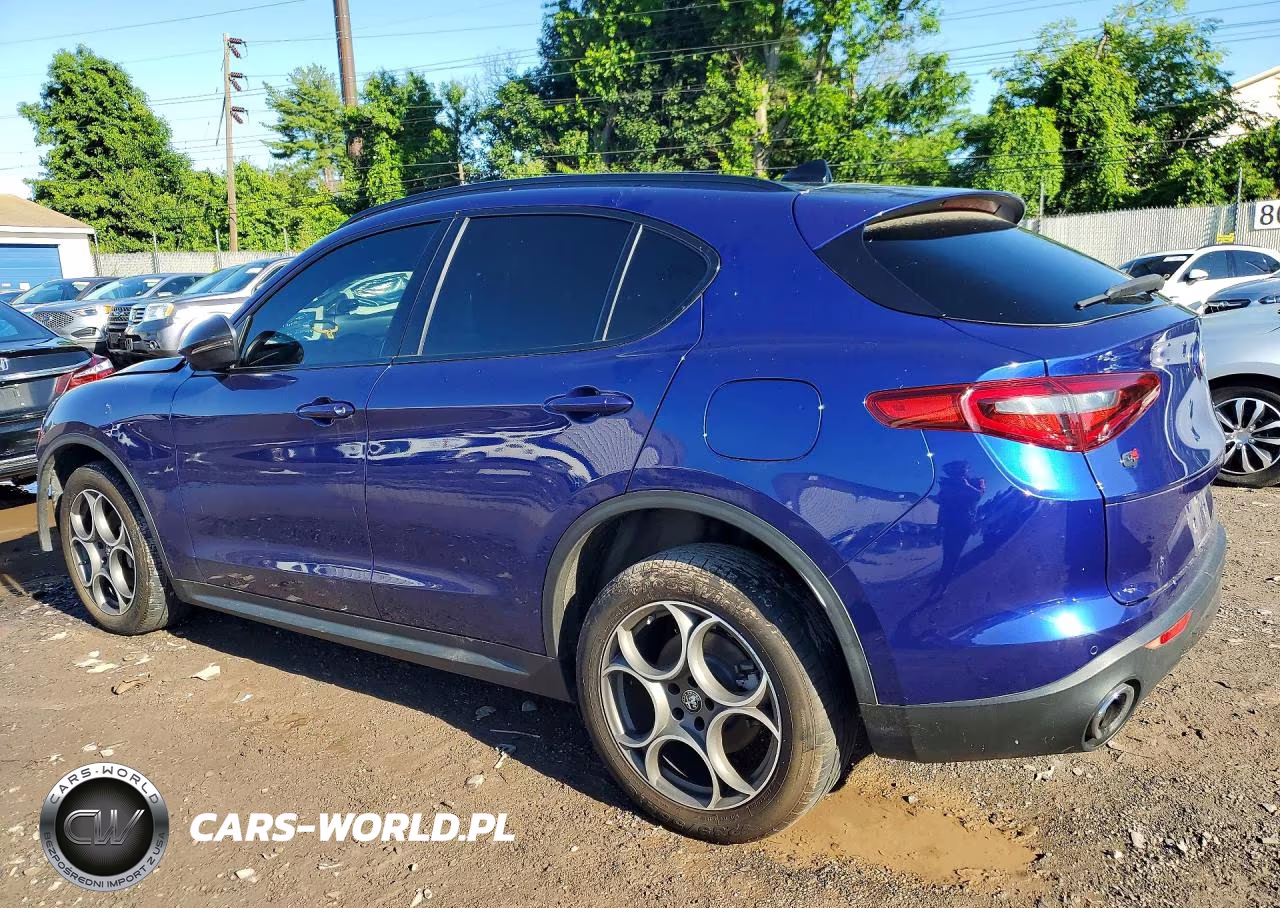 2021 Alfa Romeo Stelvio Sport VIN:ZASPAKAN6M7D10241 - 2