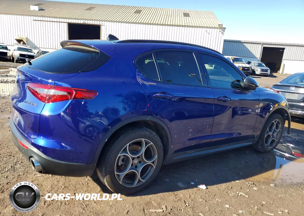 2021 Alfa Romeo Stelvio Sport VIN:ZASPAKAN6M7D10241 - 3