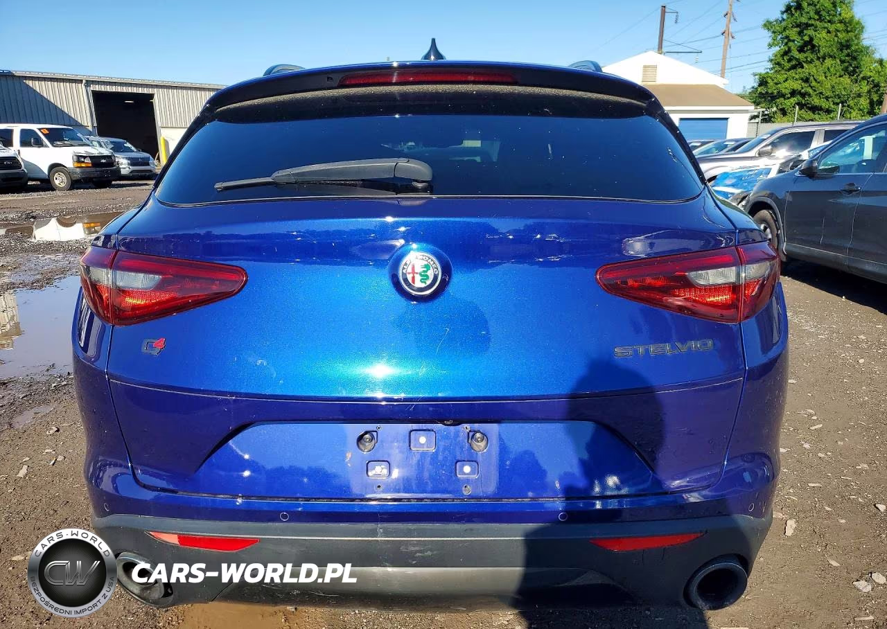 2021 Alfa Romeo Stelvio Sport VIN:ZASPAKAN6M7D10241 - 6