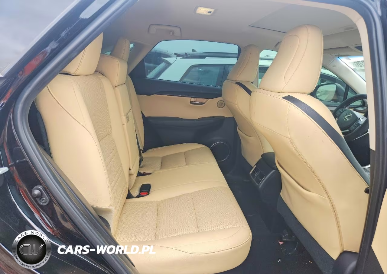 2015 Lexus Nx 200T VIN:JTJBARBZ8F2002904 - 10
