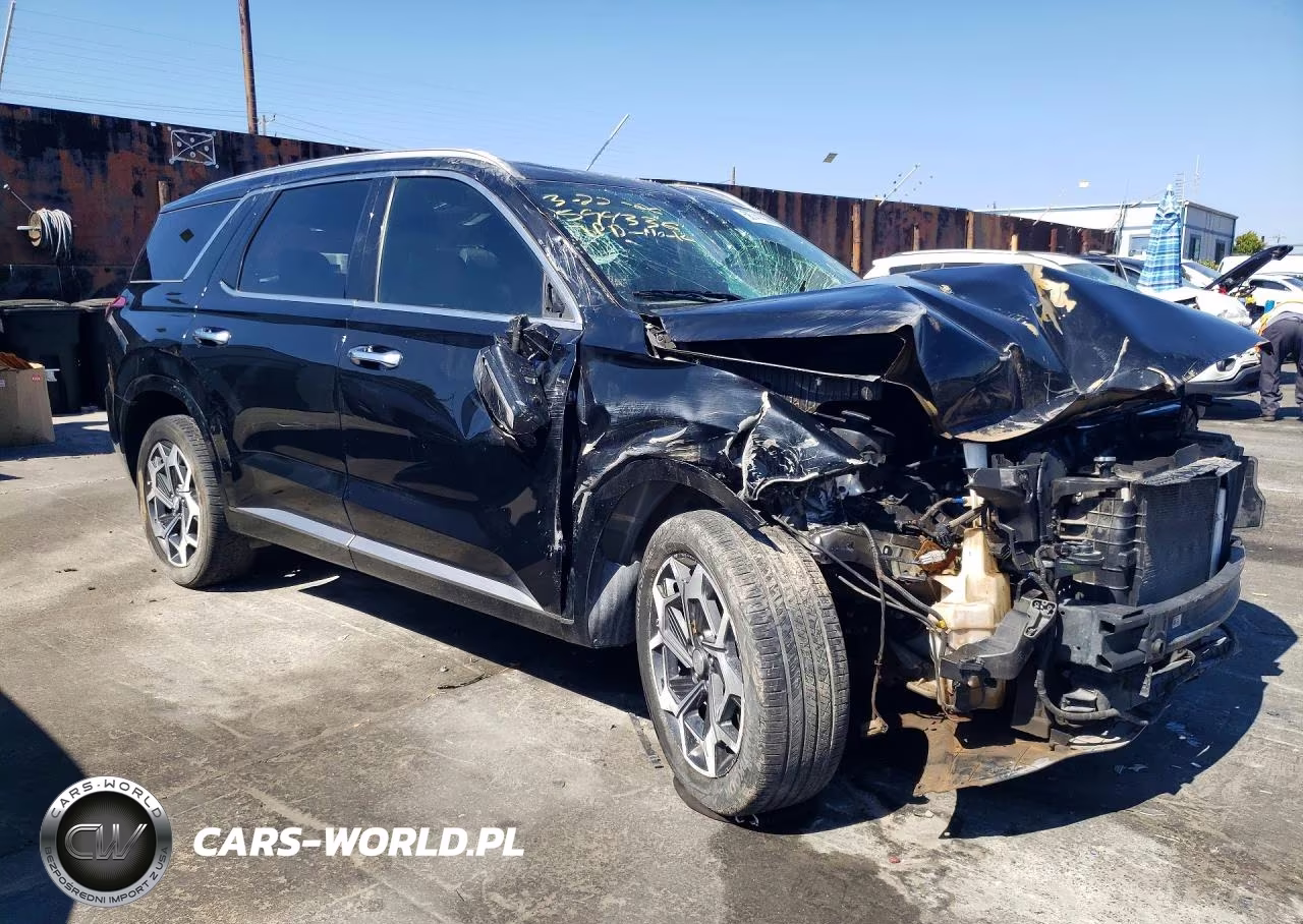2022 Hyundai Palisade Calligraphy VIN:KM8R74HE4NU357851 - 4