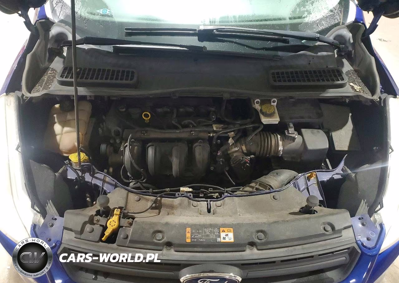 2014 Ford Escape S VIN:1FMCU0F77EUB17012 - 12