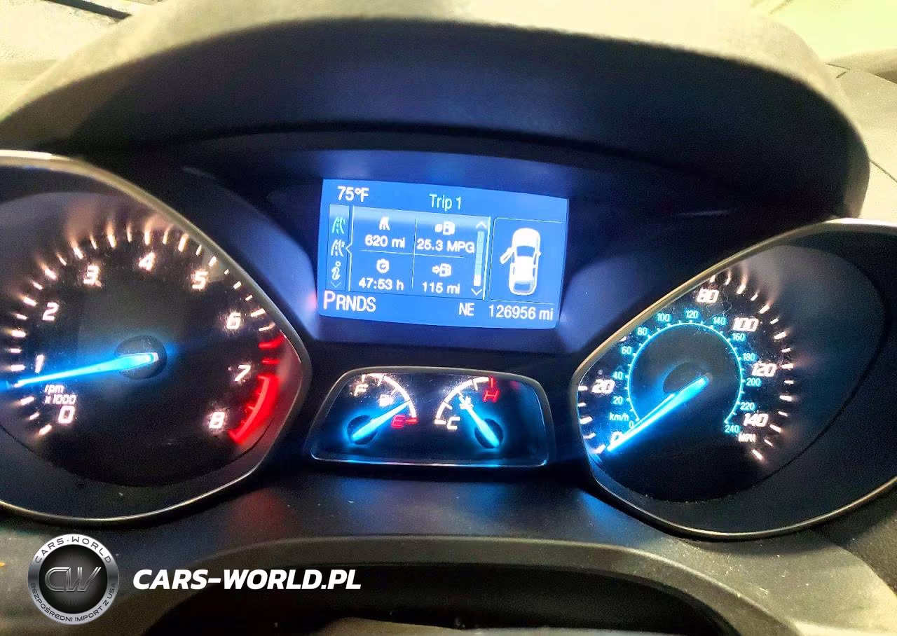 2014 Ford Escape S VIN:1FMCU0F77EUB17012 - 9