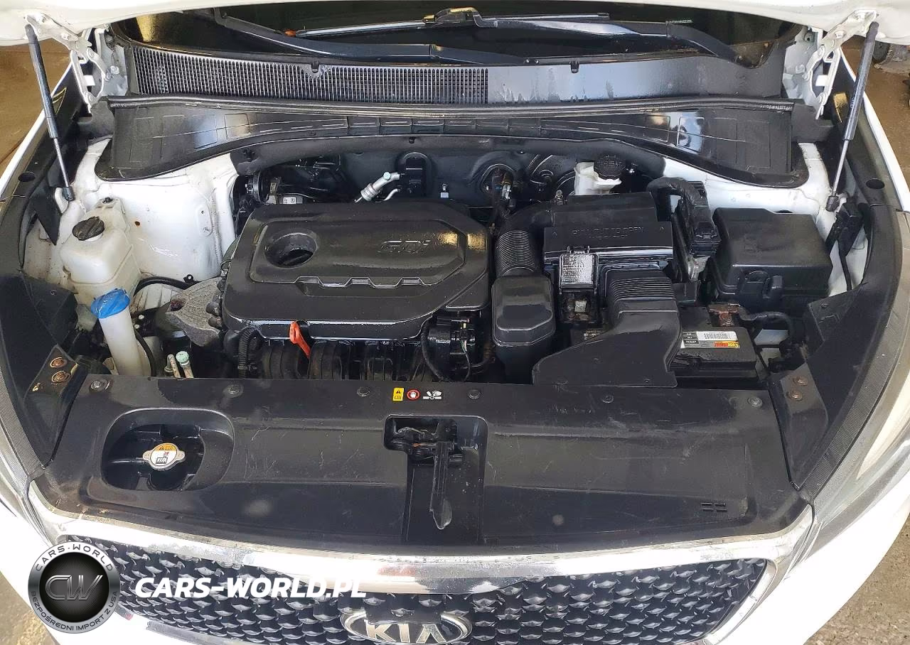 2017 Kia Sorento Lx VIN:5XYPGDA30HG231299 - 12