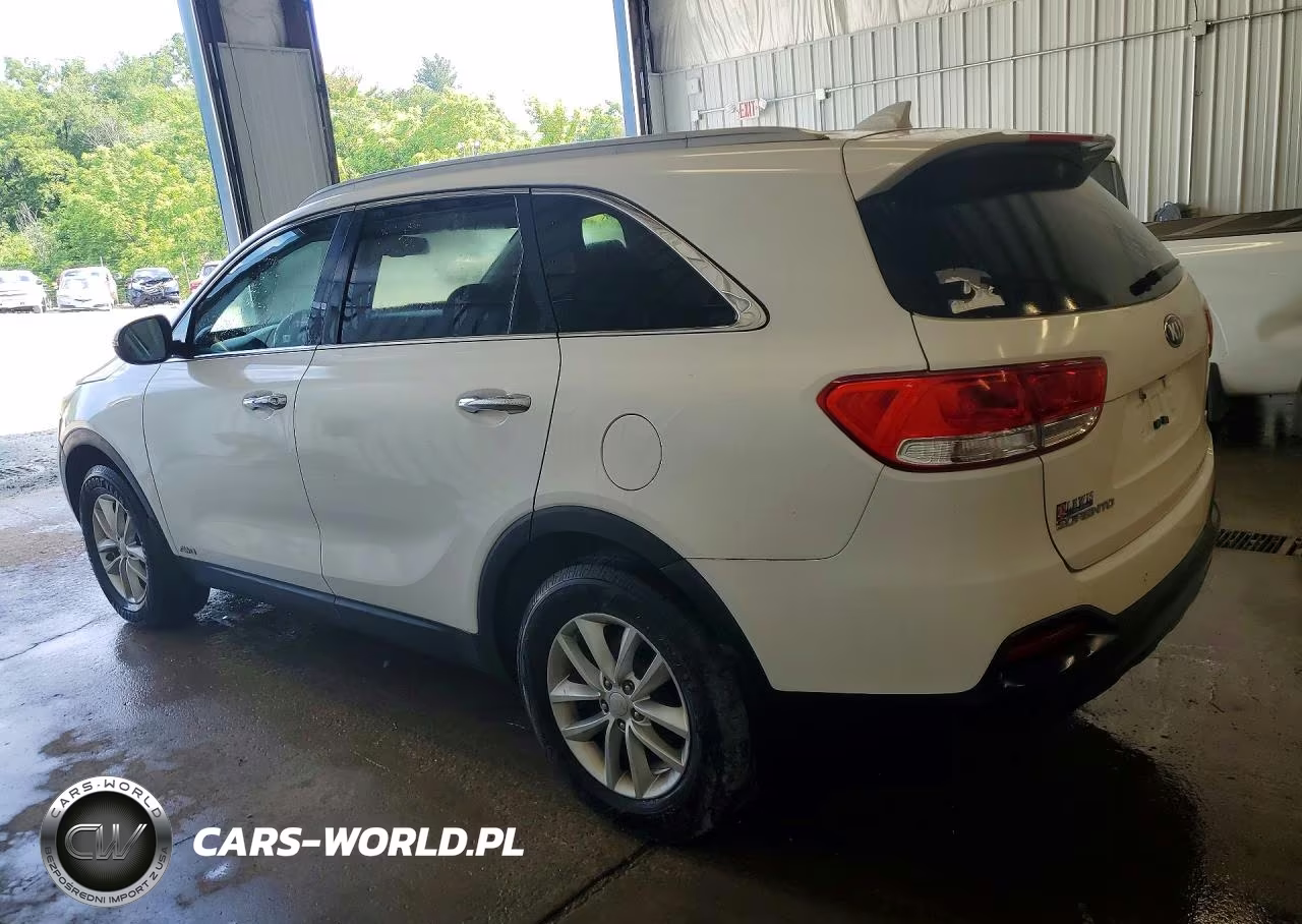 2017 Kia Sorento Lx VIN:5XYPGDA30HG231299 - 2