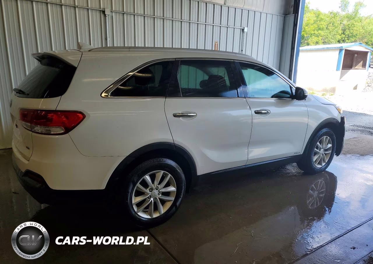 2017 Kia Sorento Lx VIN:5XYPGDA30HG231299 - 3