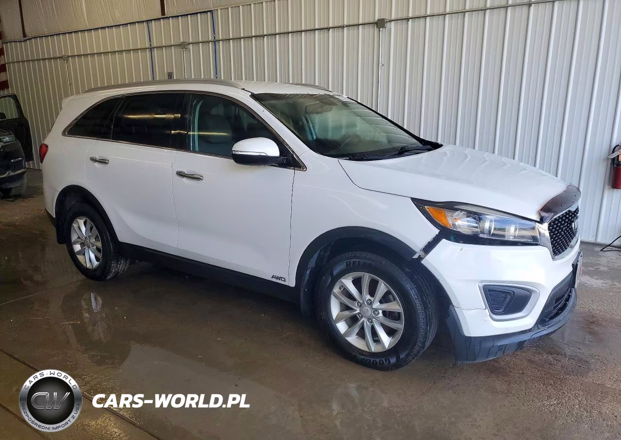 2017 Kia Sorento Lx VIN:5XYPGDA30HG231299 - 4