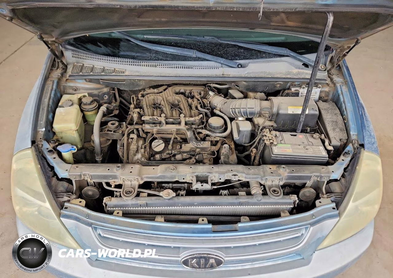 2006 Kia Sedona Lx VIN:KNDMB233X66032201 - 12