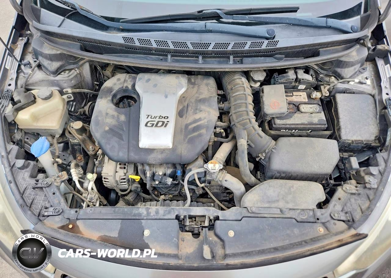 2014 Kia Forte Sx VIN:KNAFZ6A30E5225828 - 11