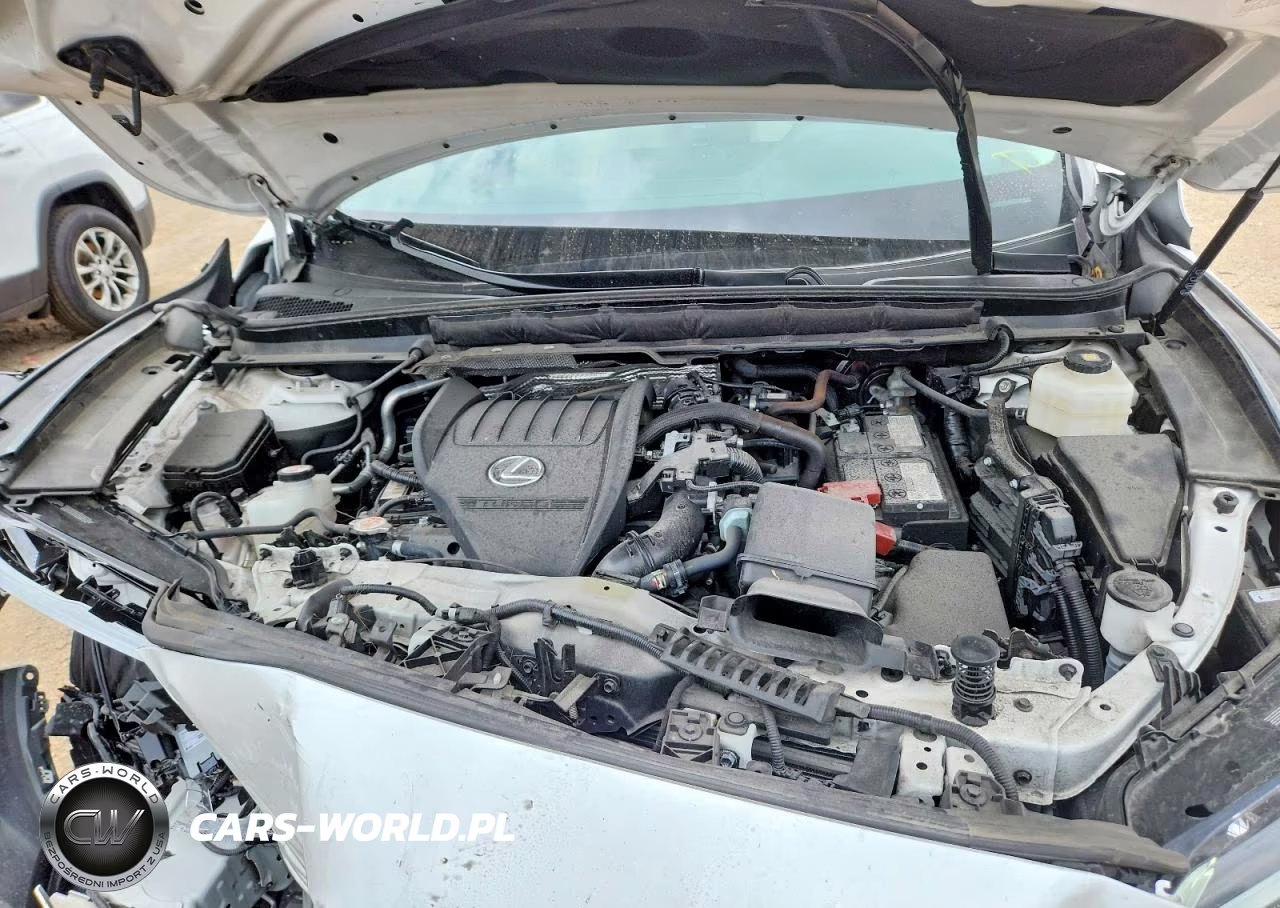 2024 Lexus Rx 350 Premium VIN:2T2BAMCA4RC063814 - 11