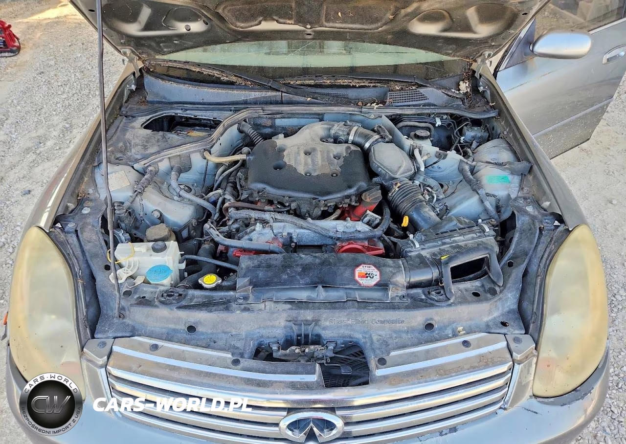 2004 Infiniti G35 Base VIN:JNKCV51EX4M111898 - 11