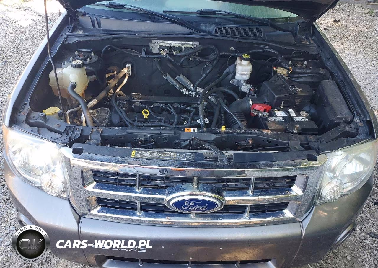 2011 Ford Escape Xlt VIN:1FMCU0D70BKA73297 - 12