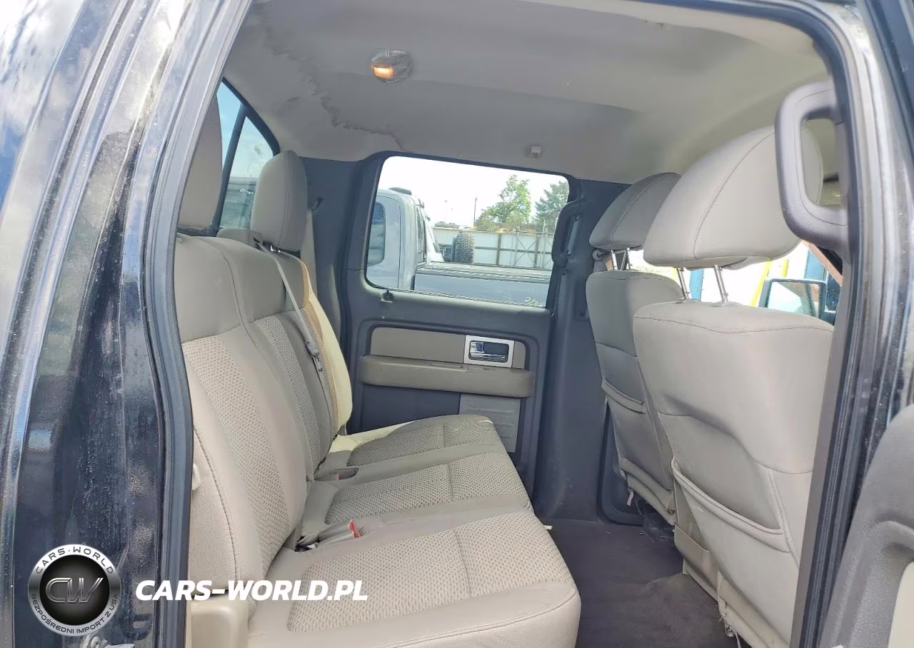 2010 Ford F150 Supercrew VIN:1FTFW1EVXAFB72666 - 10