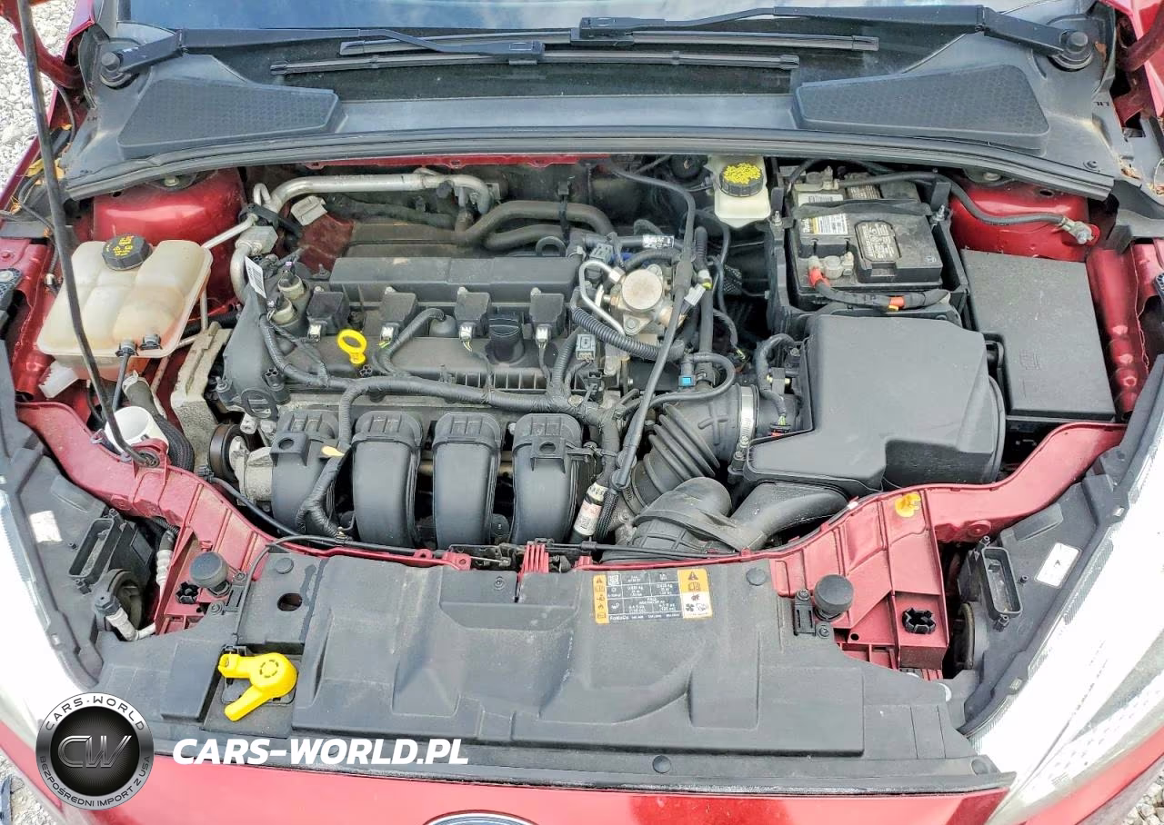 2017 Ford Focus Se VIN:1FADP3F23HL209563 - 11
