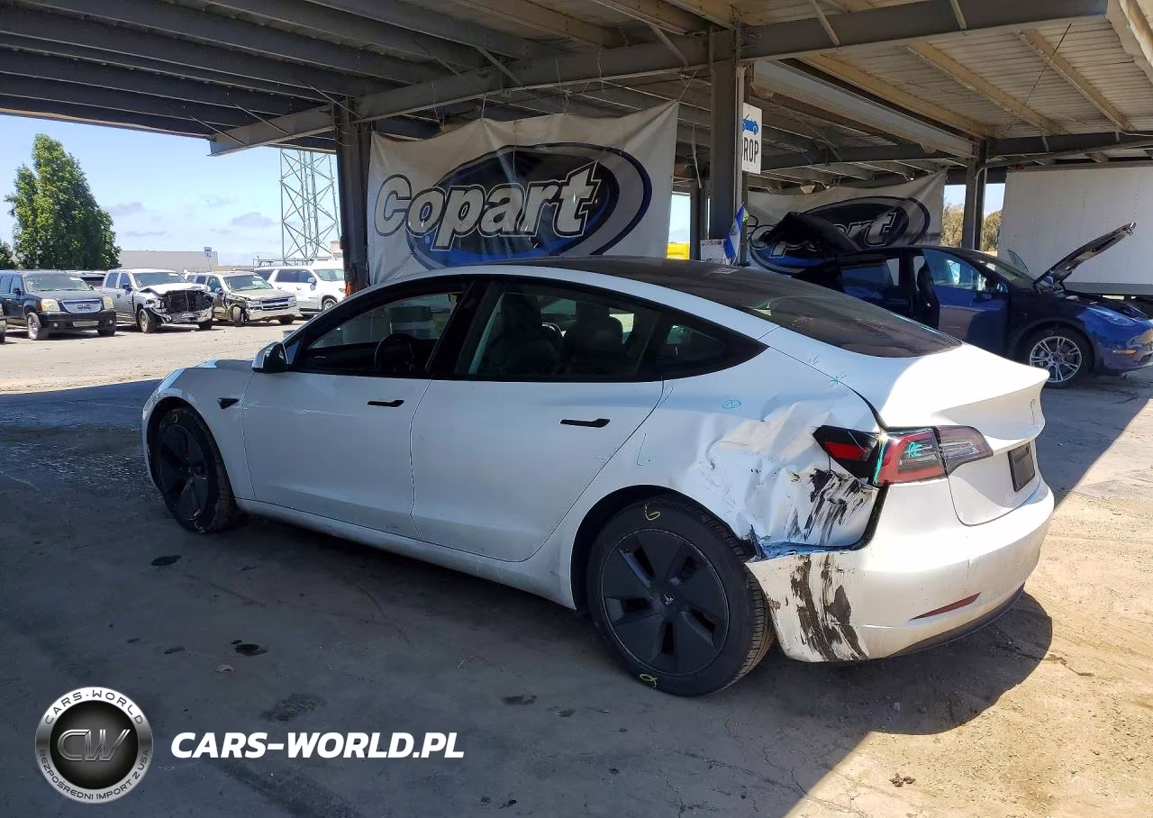 2023 Tesla Model 3 VIN:5YJ3E1EB8PF388444 - 2