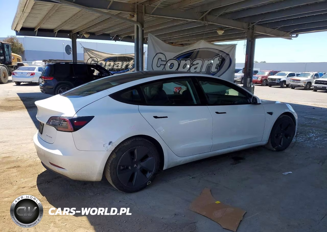 2023 Tesla Model 3 VIN:5YJ3E1EB8PF388444 - 3
