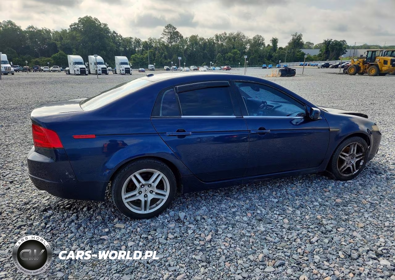 2005 Acura Tl VIN:19UUA66265A036689 - 3