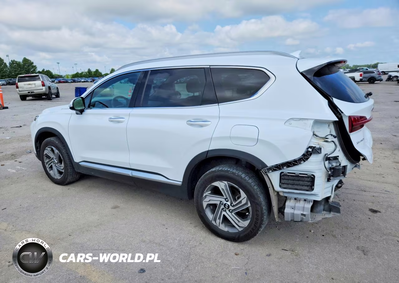 2022 Hyundai Santa Fe Sel VIN:5NMS3DAJXNH382317 - 2