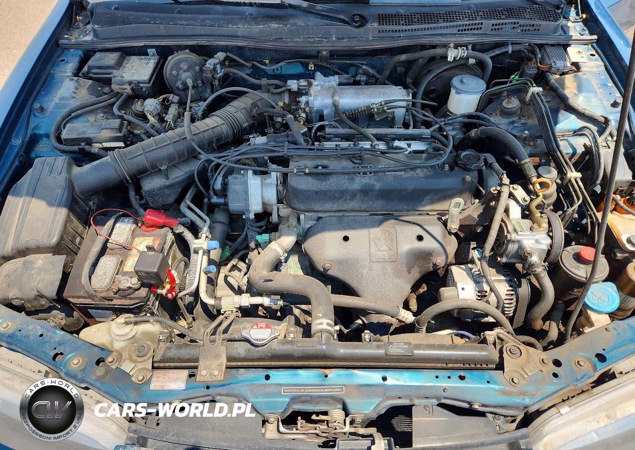 1994 Honda Accord Lx VIN:1HGCD7244RA042285 - 11