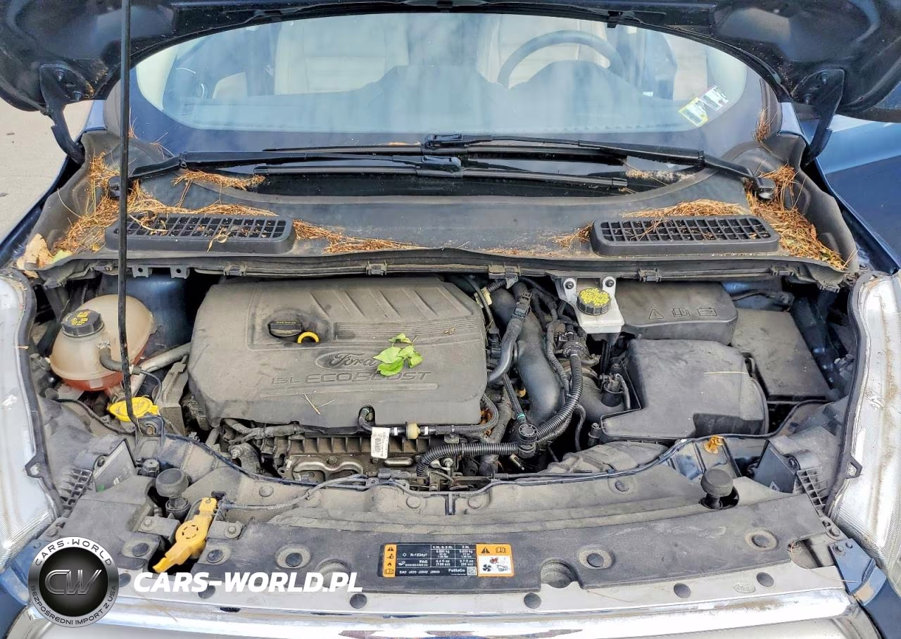 2018 Ford Escape Sel VIN:1FMCU9HD9JUA93796 - 12