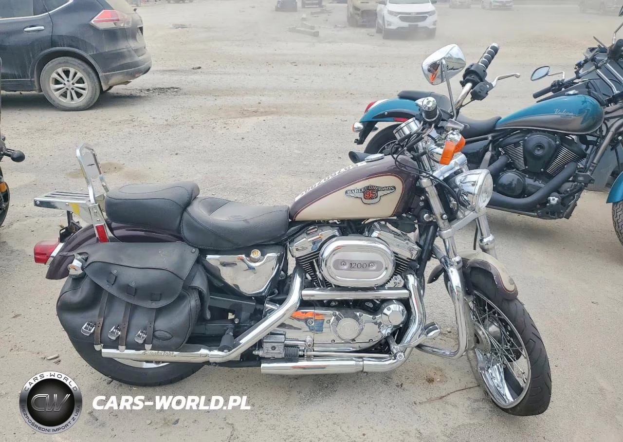 1998 Harley-Davidson Xl1200 C Anniversary