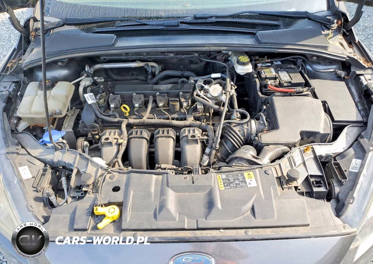 2017 Ford Focus Sel VIN:1FADP3H25HL331239 - 11
