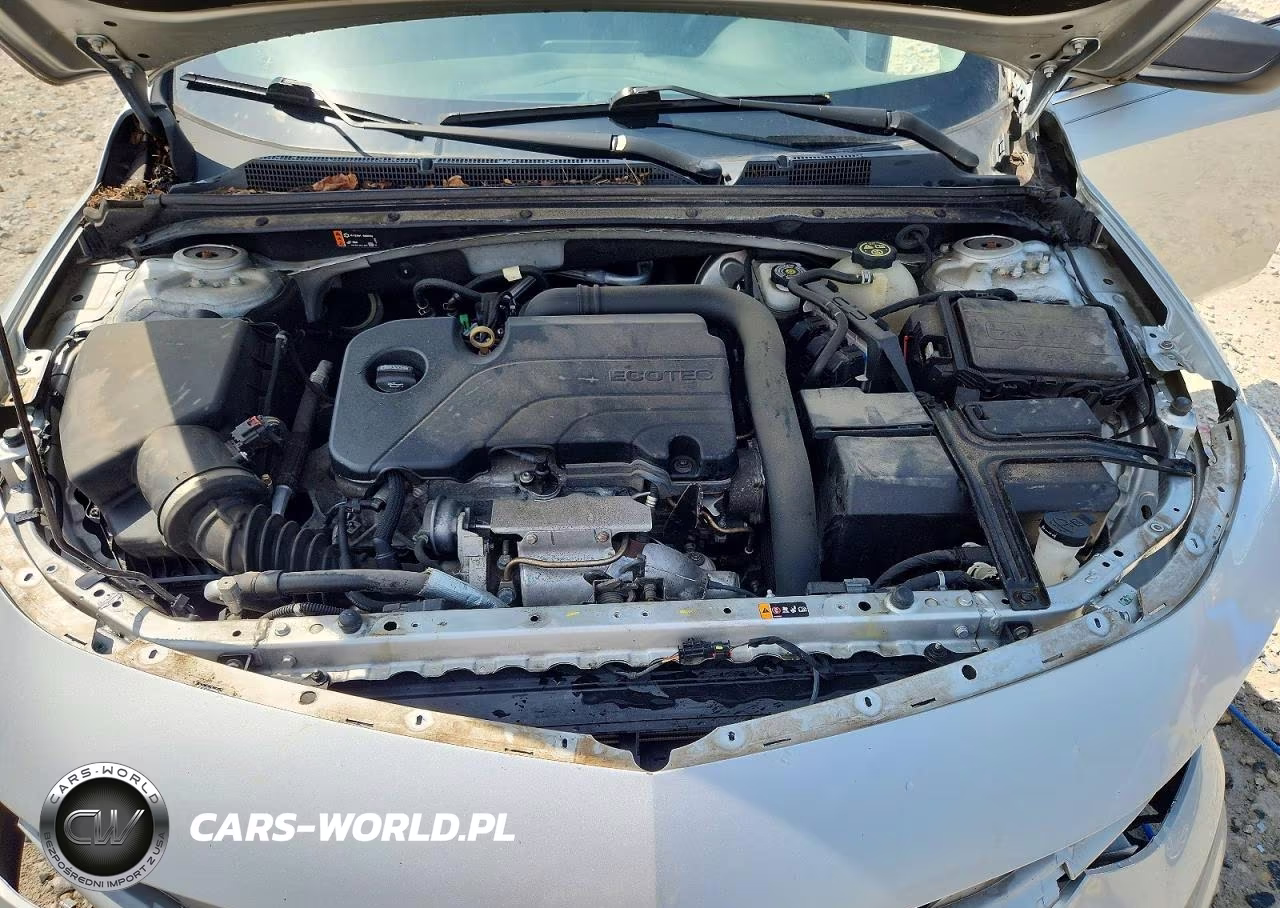 2019 Chevrolet Malibu Ls VIN:1G1ZB5ST7KF122823 - 11
