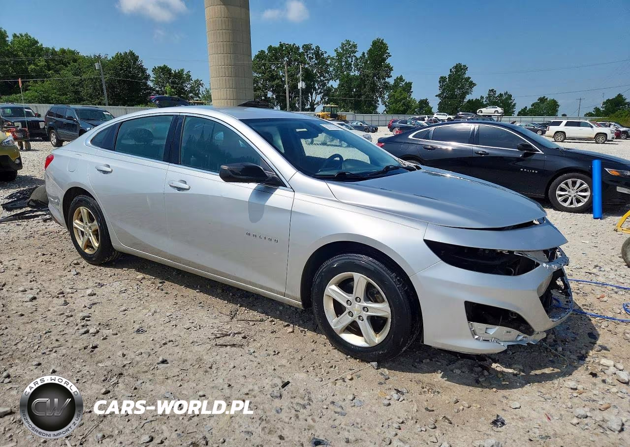 2019 Chevrolet Malibu Ls VIN:1G1ZB5ST7KF122823 - 4