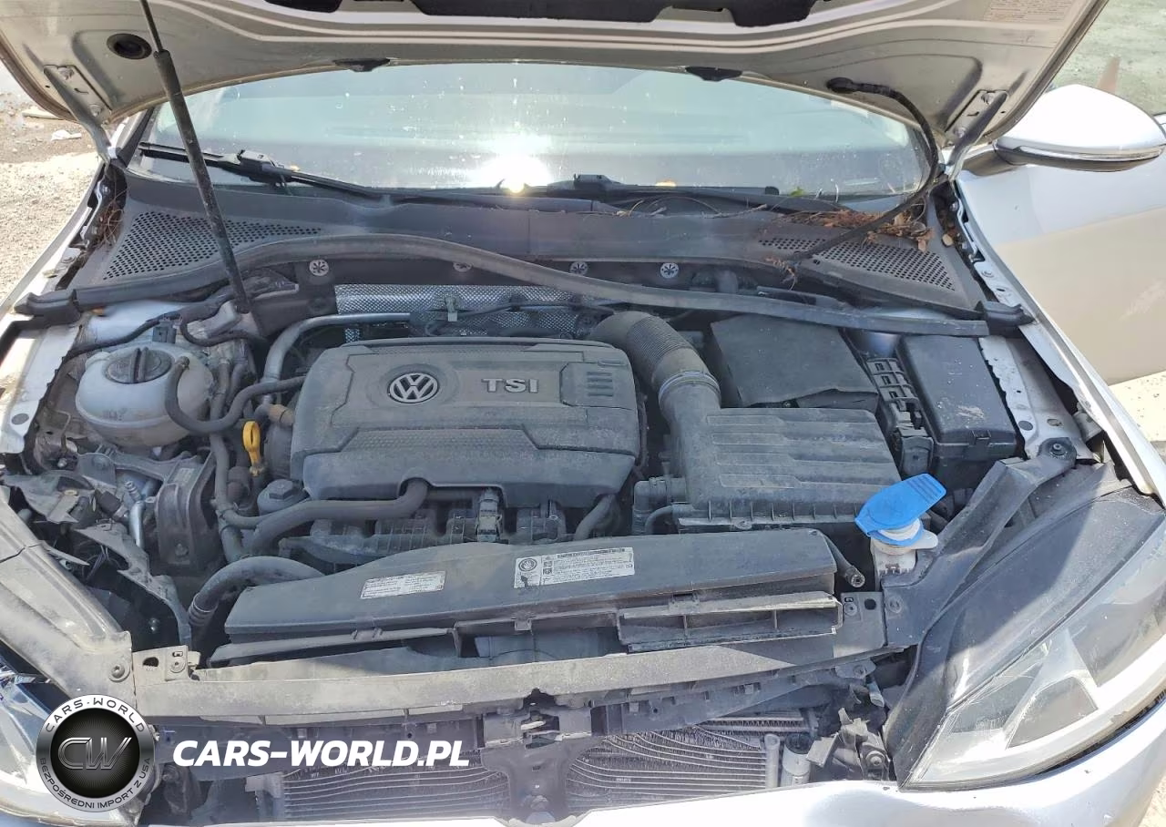 2016 Volkswagen Golf Sportwagen S VIN:3VWC17AU7GM517420 - 11