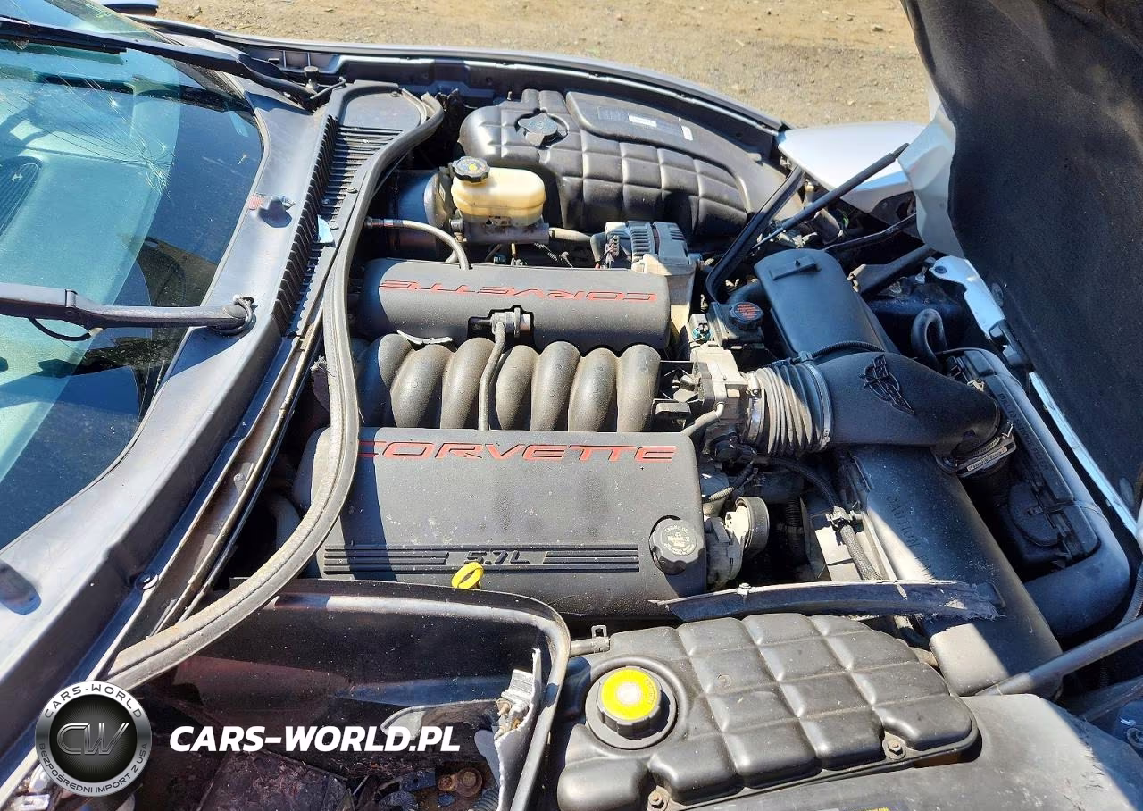 1999 Chevrolet Corvette VIN:1G1YY22G9X5102727 - 11