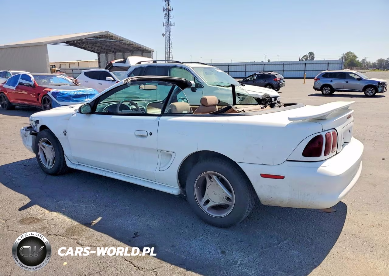 1997 Ford Mustang VIN:1FALP4449VF197824 - 2