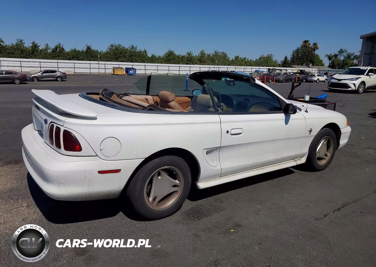 1997 Ford Mustang VIN:1FALP4449VF197824 - 3