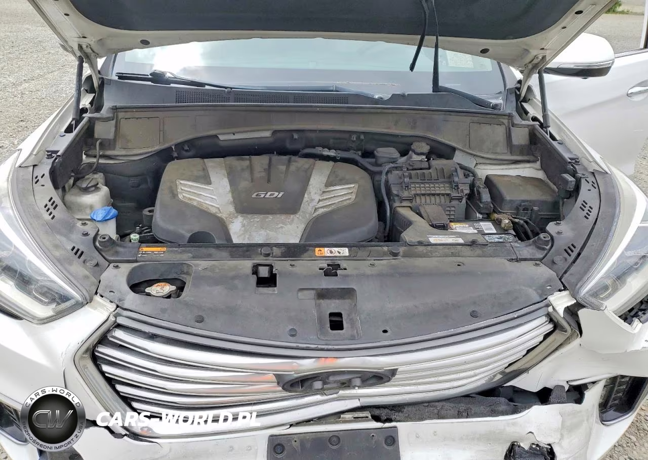 2017 Hyundai Santa Fe Se Ultimate VIN:KM8SR4HF2HU211487 - 12