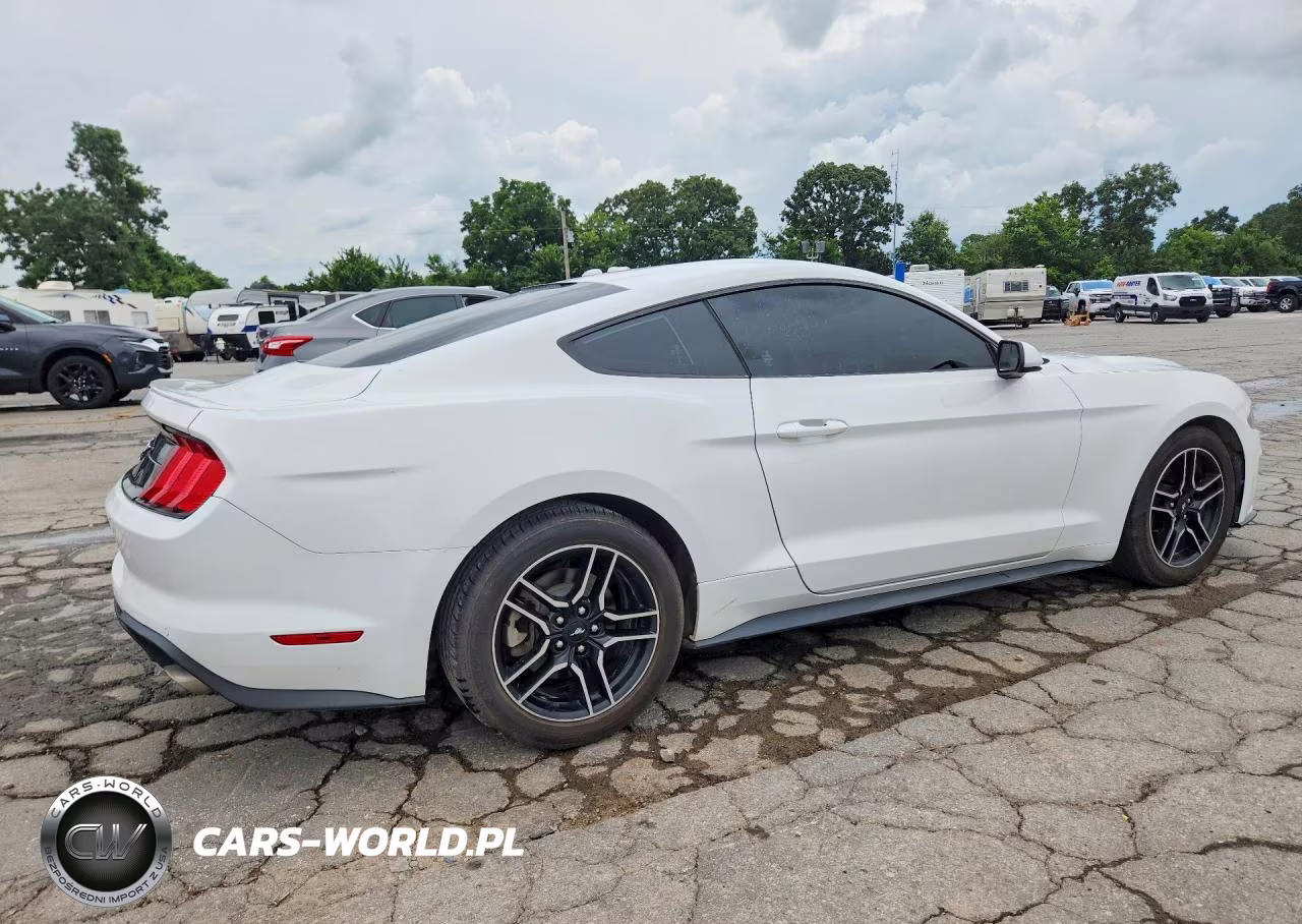 2020 Ford Mustang VIN:1FA6P8TH9L5127266 - 3