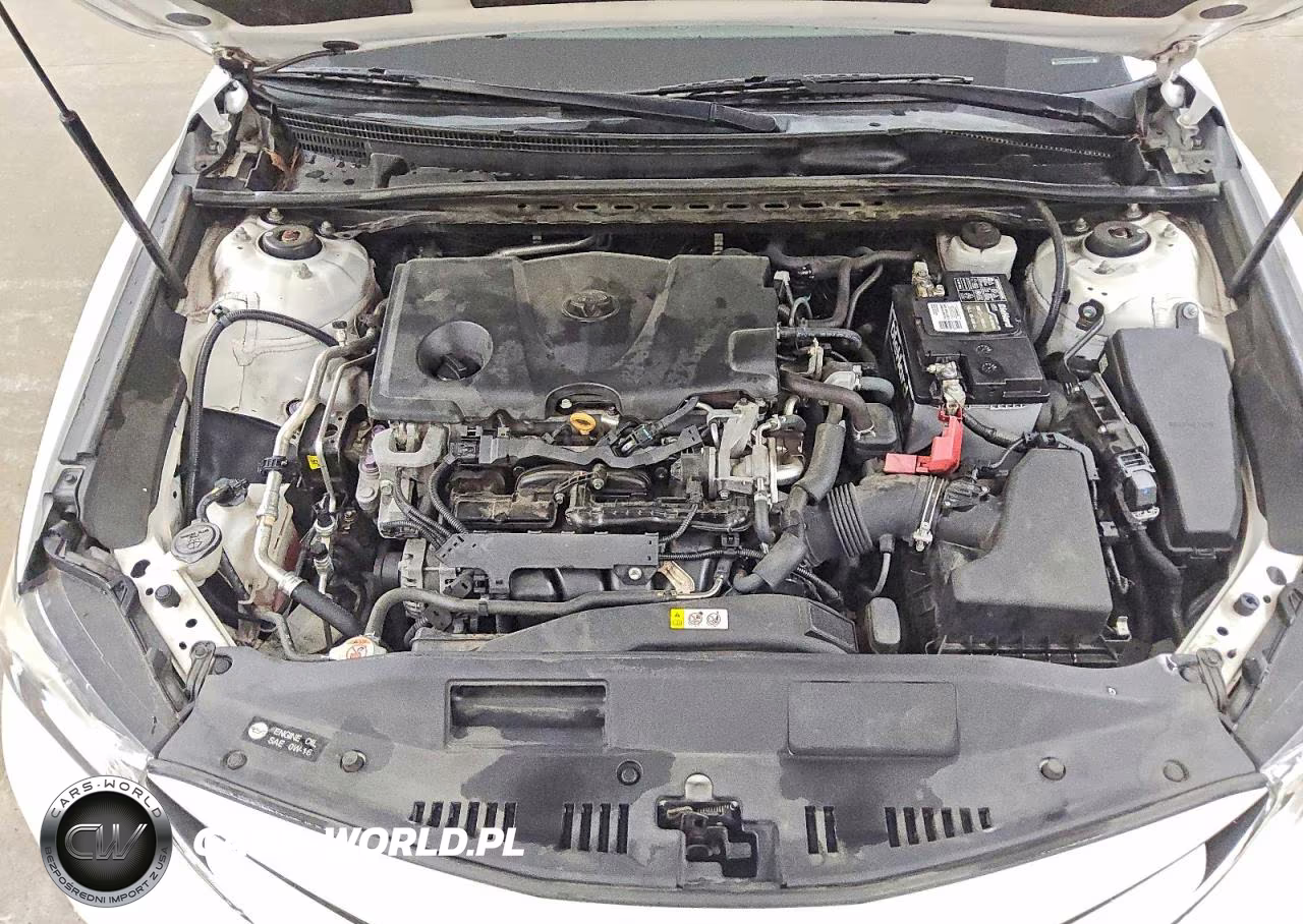 2019 Toyota Camry Le VIN:4T1B11HK0KU253232 - 11