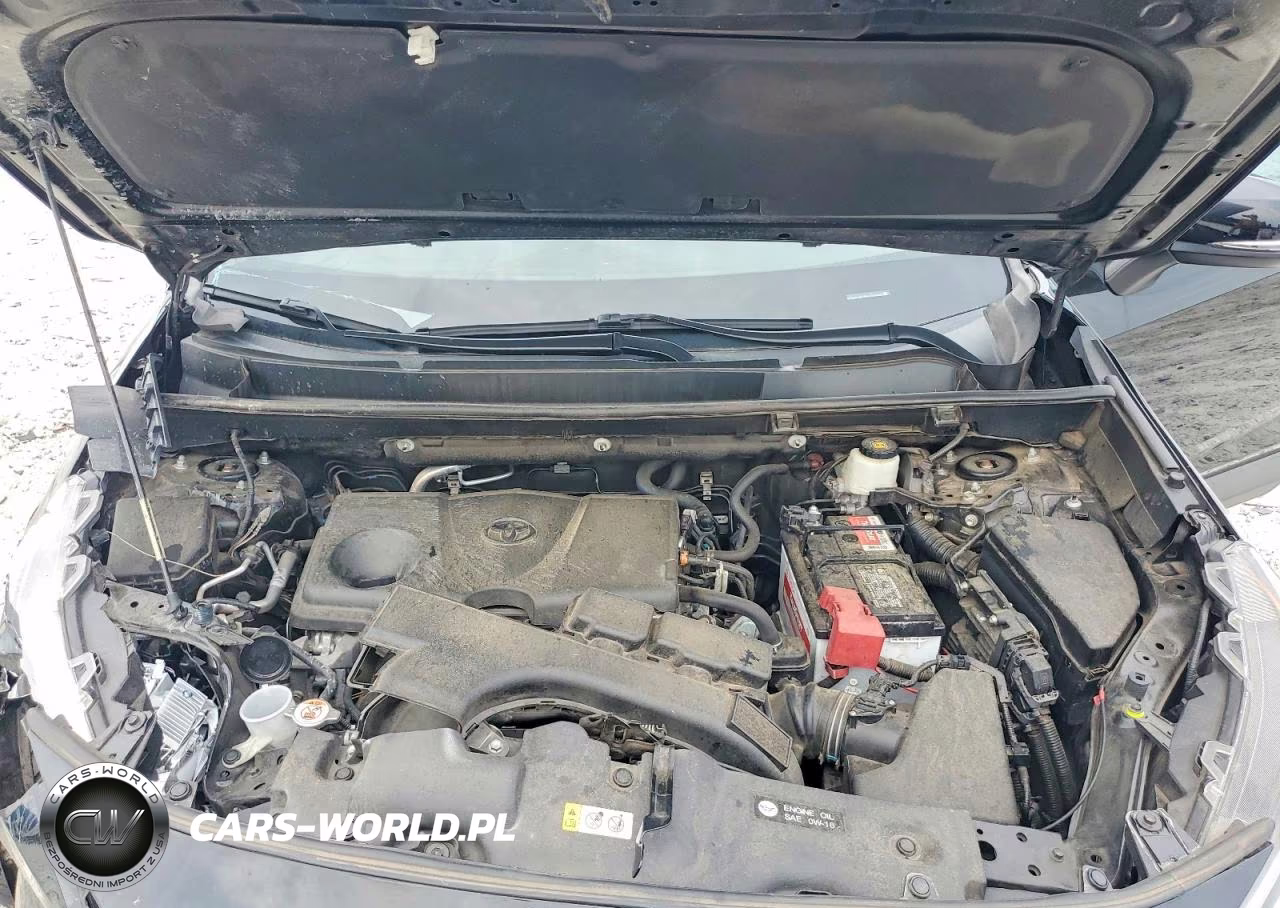 2020 Toyota Rav4 Xle VIN:2T3W1RFV9LC048550 - 12