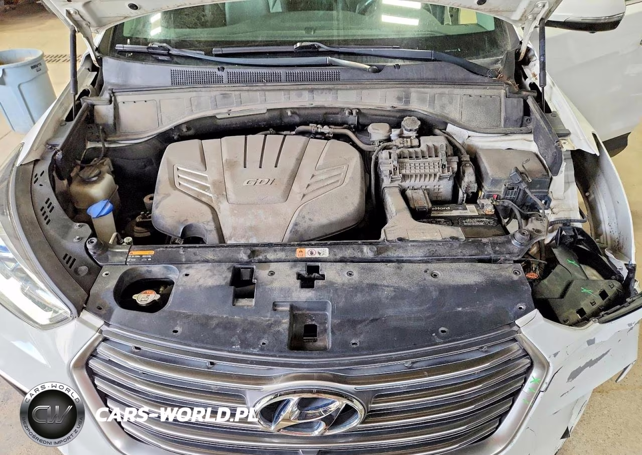2018 Hyundai Santa Fe Se Ultimate VIN:KM8SRDHF7JU262053 - 12