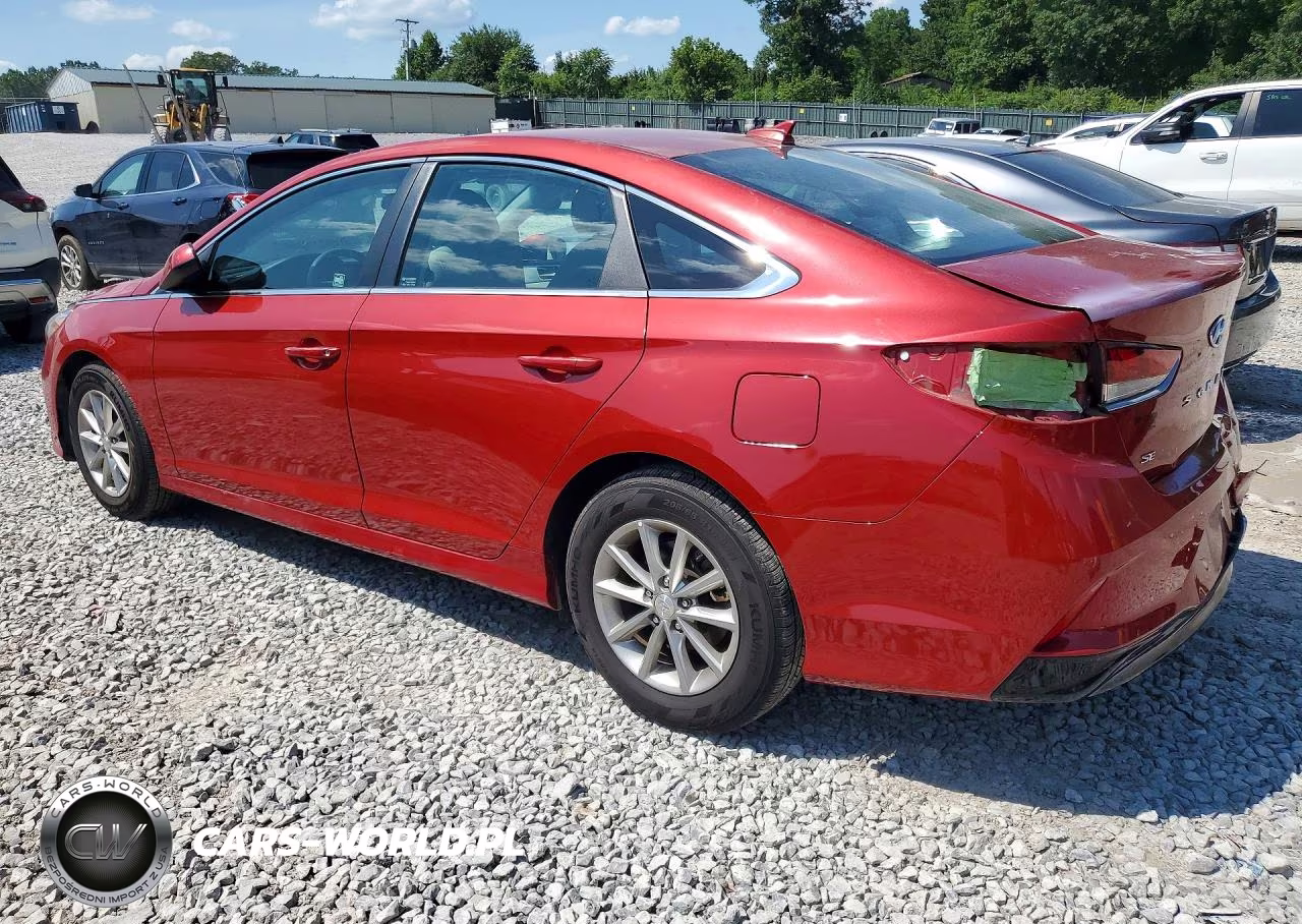 2019 Hyundai Sonata Se VIN:5NPE24AF3KH769186 - 2