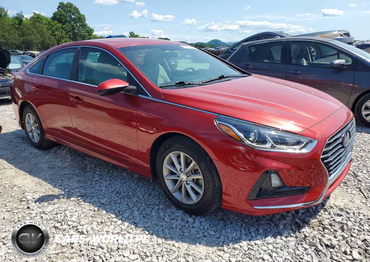 2019 Hyundai Sonata Se VIN:5NPE24AF3KH769186 - 4