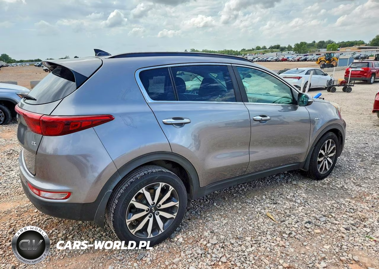2019 Kia Sportage Ex VIN:KNDPNCAC3K7540057 - 3