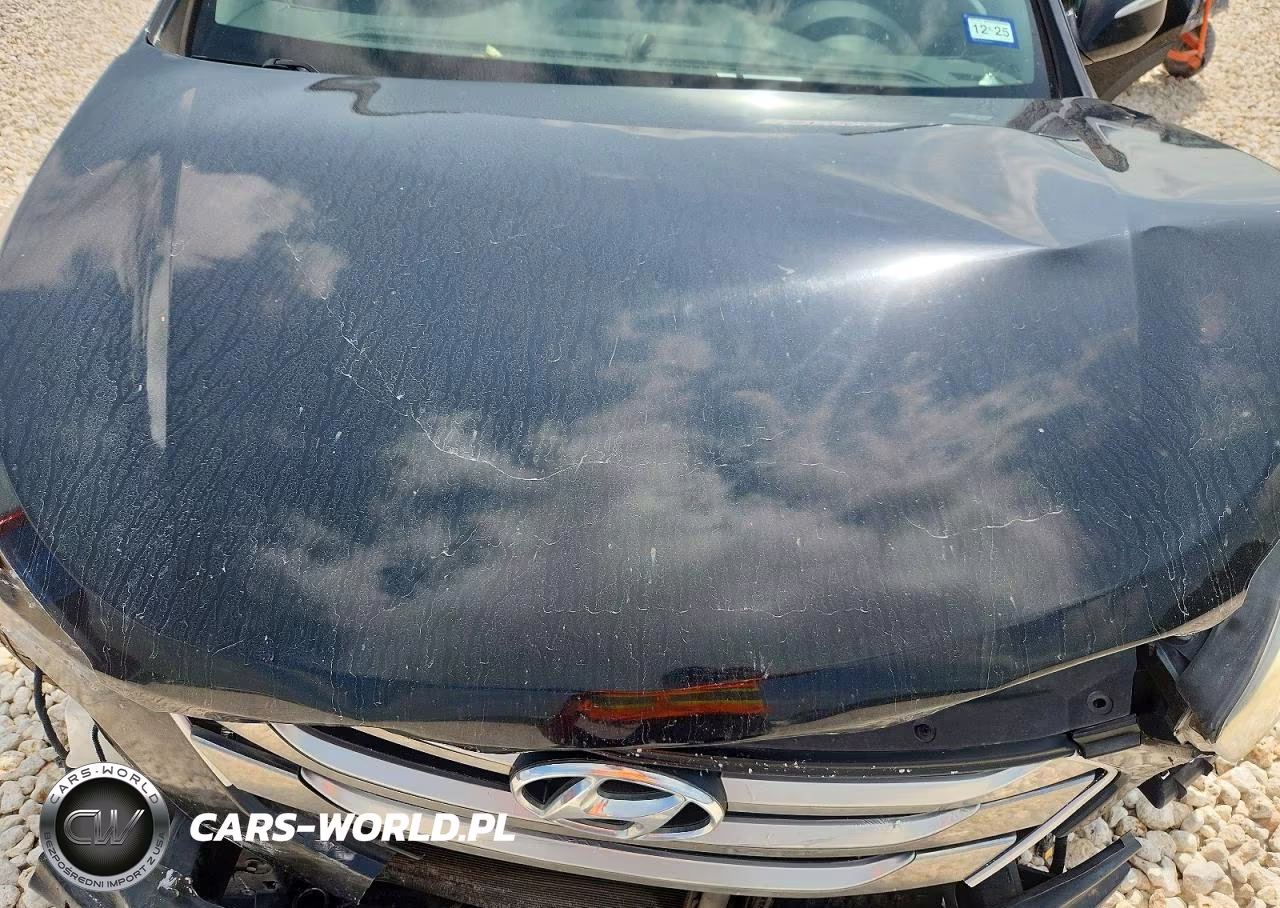 2016 Hyundai Santa Fe Sport 2.0T VIN:5XYZW4LAXGG325907 - 12